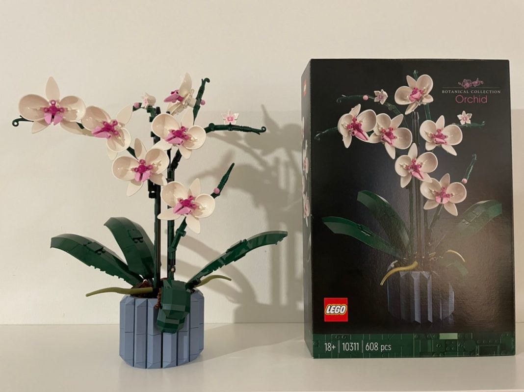 LEGO Orchid And LEGO Succulents Review - Aesthetically Beautiful ...