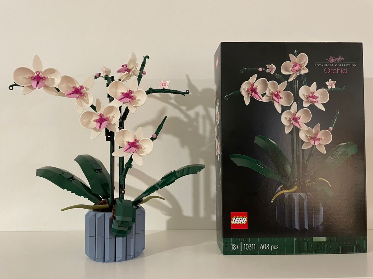 LEGO Orchid Review! 2022 Botanical Collection 