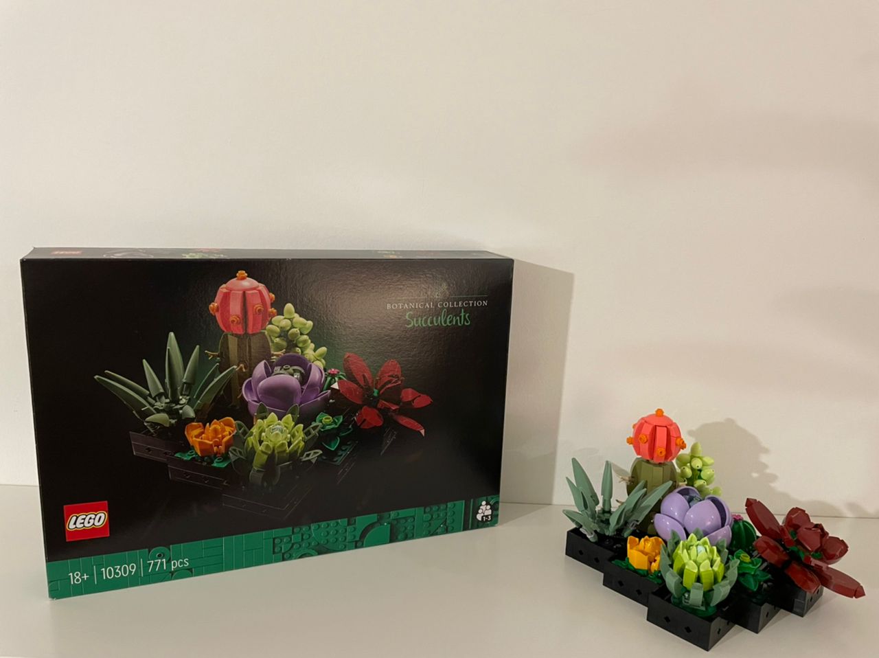 LEGO Creator Expert Botanical Collection Orchid, Succulents Teaser