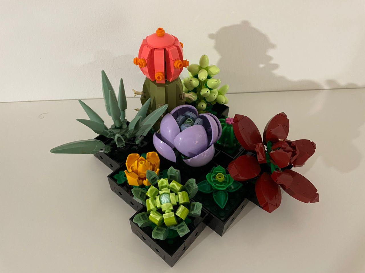 LEGO Creator Expert Botanical Collection Orchid, Succulents Teaser