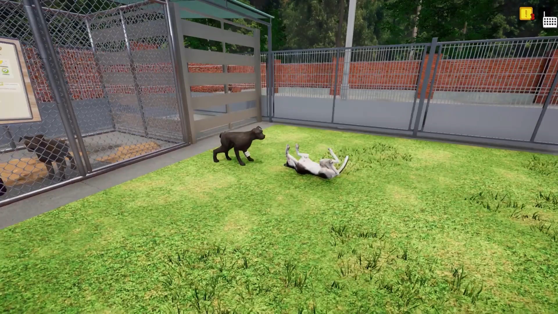Animal Shelter Simulator Debuts On PS4 And PS5 
