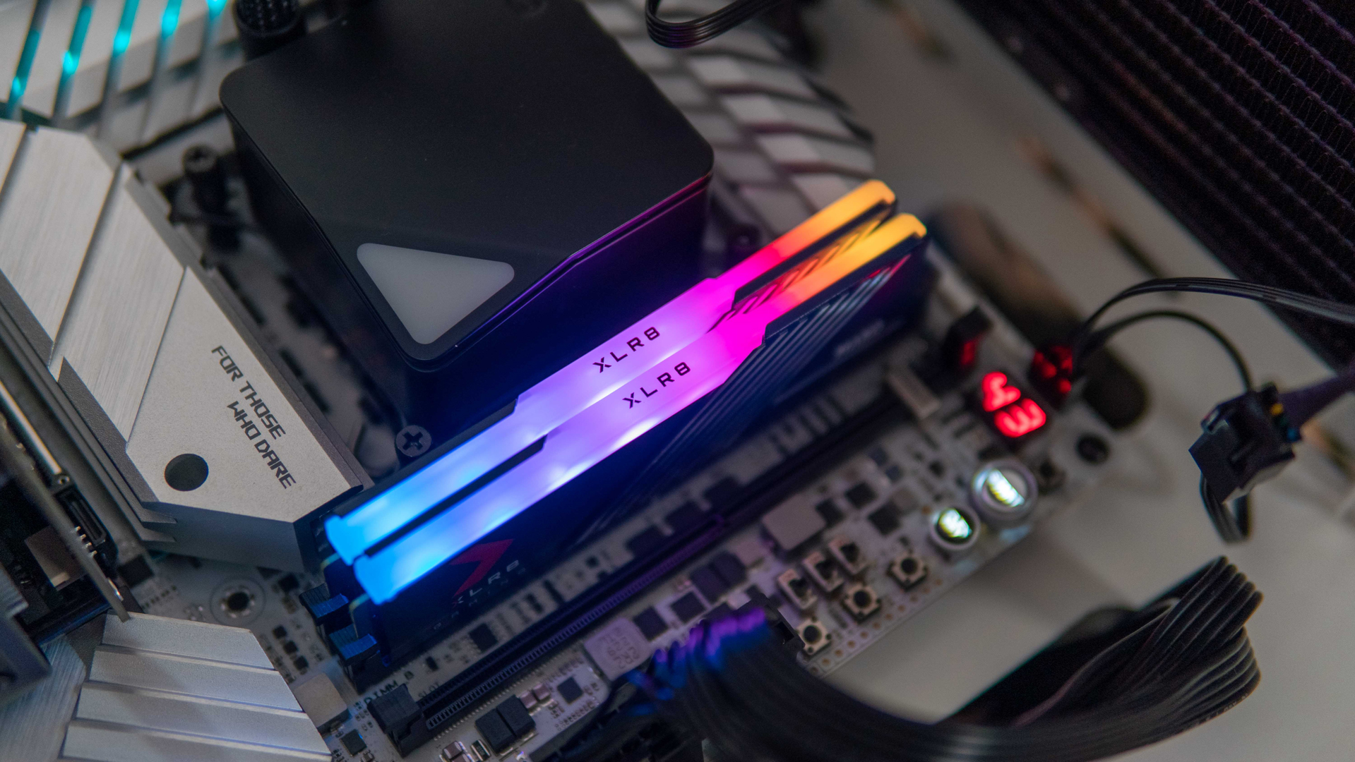 Review : PNY XLR8 Gaming MAKO™ DDR5 6000Mhz - BunnyGaming.com